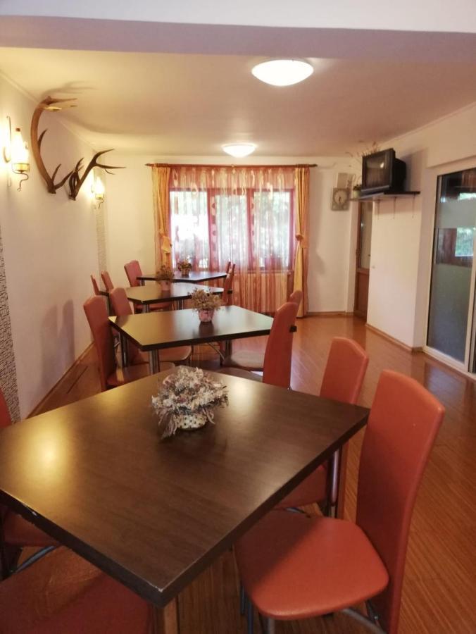 Hotel La Gabi Azuga Zewnętrze zdjęcie
