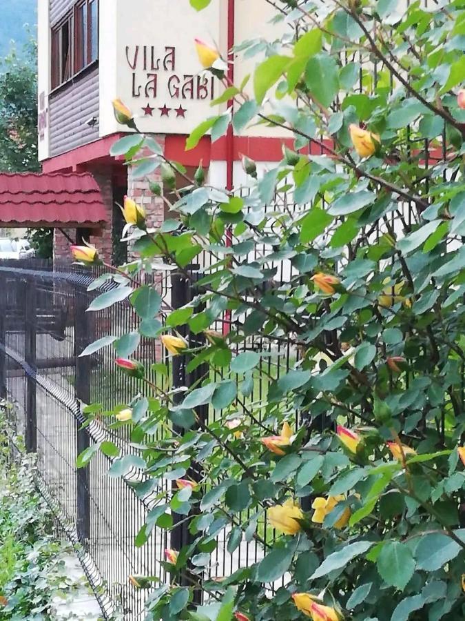 Hotel La Gabi Azuga Zewnętrze zdjęcie