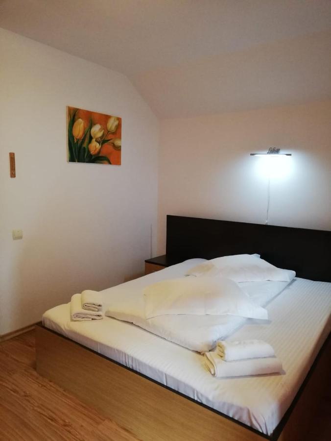 Hotel La Gabi Azuga Zewnętrze zdjęcie
